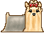0mi2edjdyjxngcowonnd.gif 0mi2edjdyjxngcowonnd.gif