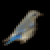 cuwwnfnantrdh4z2nmjz.png