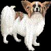 cztwjmqmlt3fu1onwhn1.gif