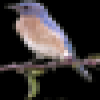 dj2zqxn1y5qcmzjncn2x.png