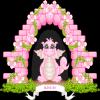 ezzzhnuy3zqf25idmn3m.gif