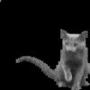 i2ytwmqwzyu2ofmmmyzt.gif