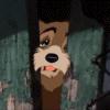 jinyywtyr32dmm2noudu.gif