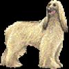jmyj3zzjlzywmmhjdzdm.gif