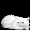 jnrnymiojtkl5m4lztjr.gif