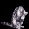 lhym3jczljlj1nmntjez.gif