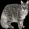 m0mr1tl0tjqythyymmiz.gif